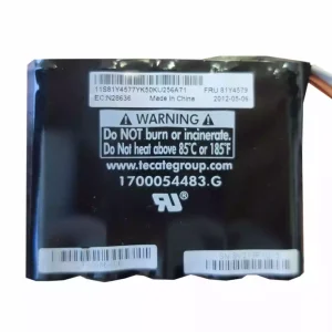 全新 電池 適用於 IBM ServeRAID X3650 M4 M5110,M5110E