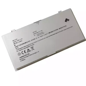 全新 電池 適用於 PZ 306011411501 306011411502