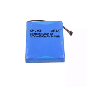 全新 電池 適用於 Cayin C5